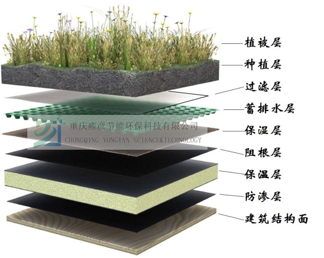 1612493667102488.png 剖面圖 sy.png